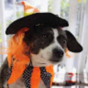 Meet your Posher, Mitchell